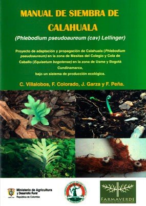 Manual de siembra de Calahuala