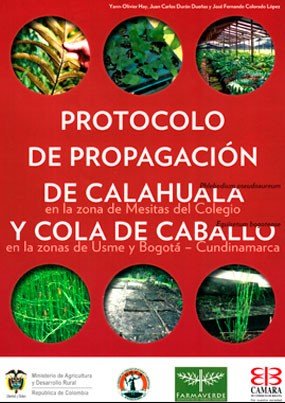 Protocolo de propagación de calahuala y cola de caballo