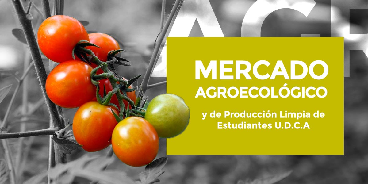 mercado_agroecologico