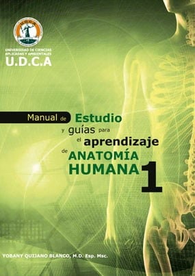 2014_Manual_y_guia_anatomia-1-min