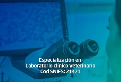 espec_lab_clinico_vet