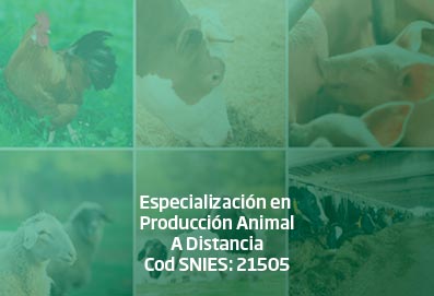 espec_produccion_animal_DISTANCIA