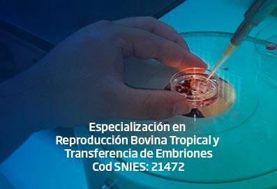 espec_reproduccion_bovina_tropical