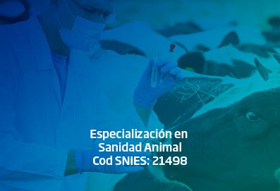 espec_sanidad_animal