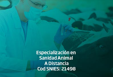 espec_sanidad_animal_DISTANCIA