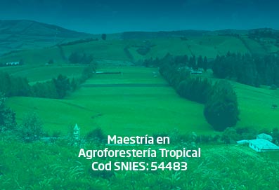 maestria_agroforesteria_tropical