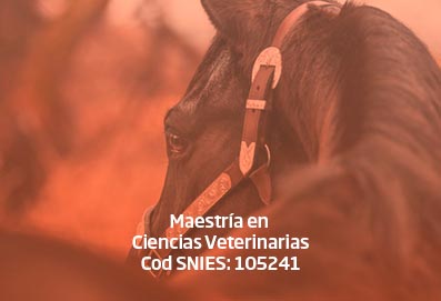 maestria_ciencias_veterinarias