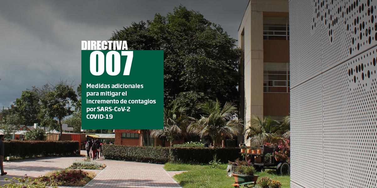 directiva_007