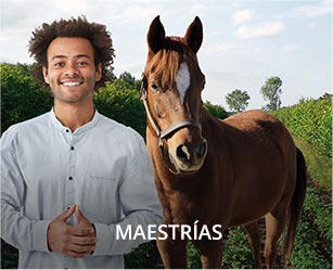 sacpa_min_maestrias