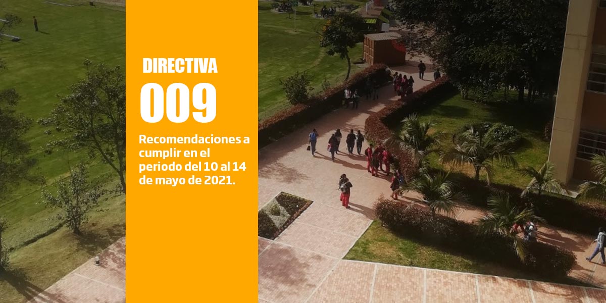 directiva_009