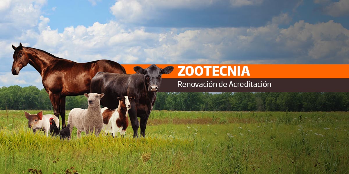 programas_acreditados_zootecnia