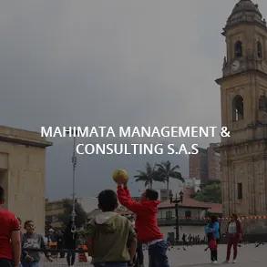 entidad_Mahimata_Management_Consulting