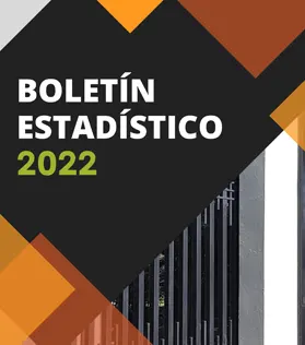 Boletín estadístico 2022