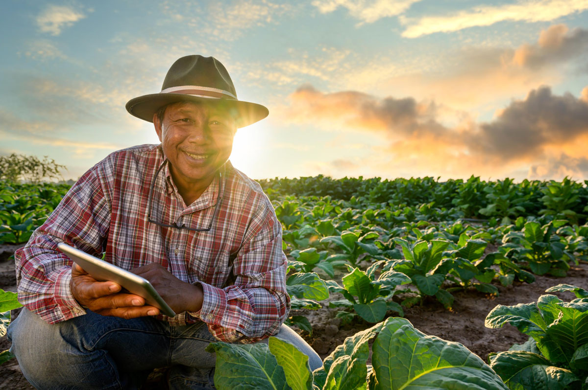 AgroEmprende-Digital