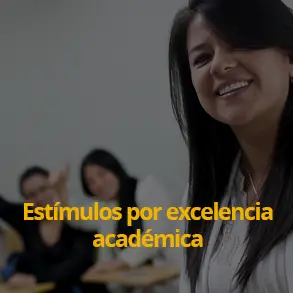 estimulos_exc_academica