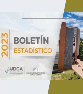 Boletín estadístico 2023