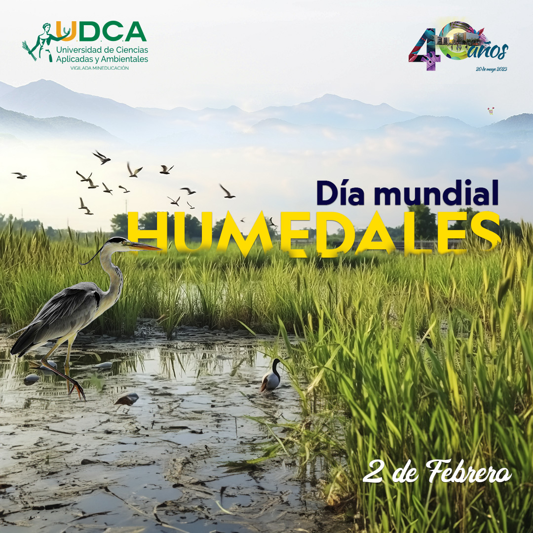 Humedales 2024