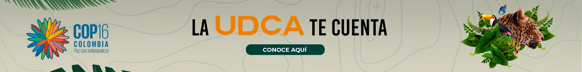 banner principal P