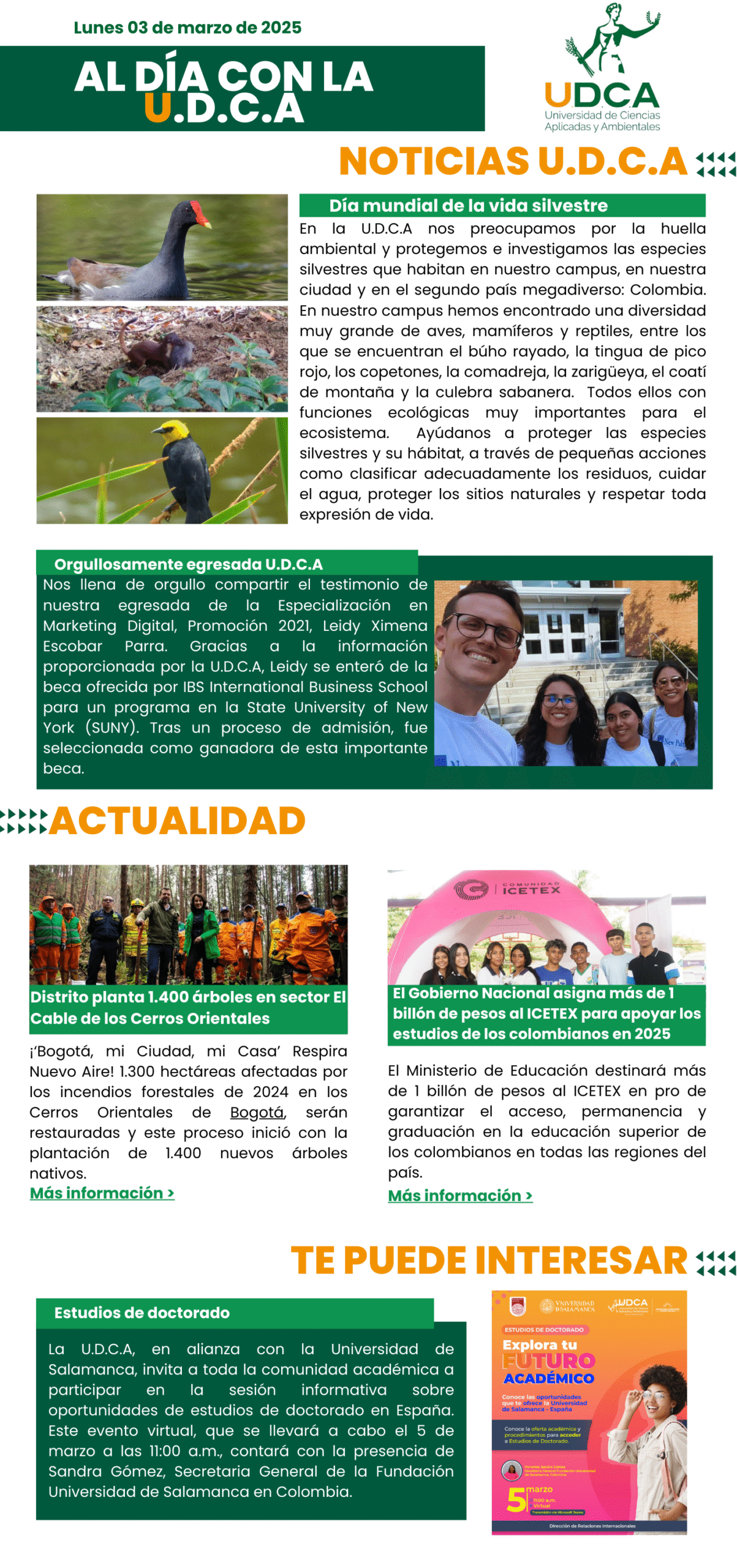 Boletín U.D.C.A 3 de marzo