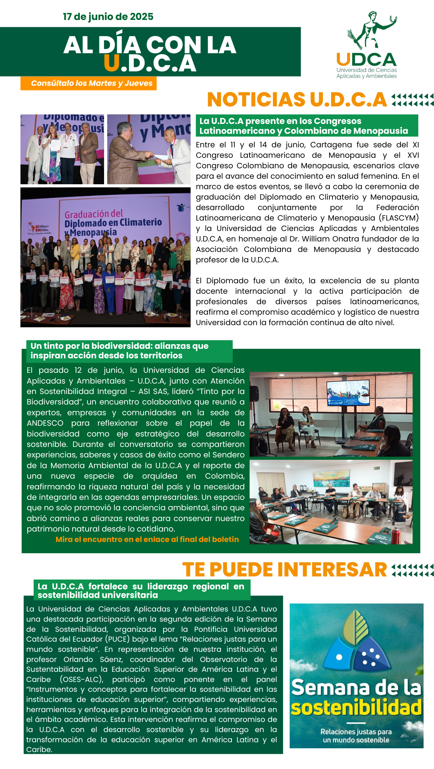 17 de junio (2)