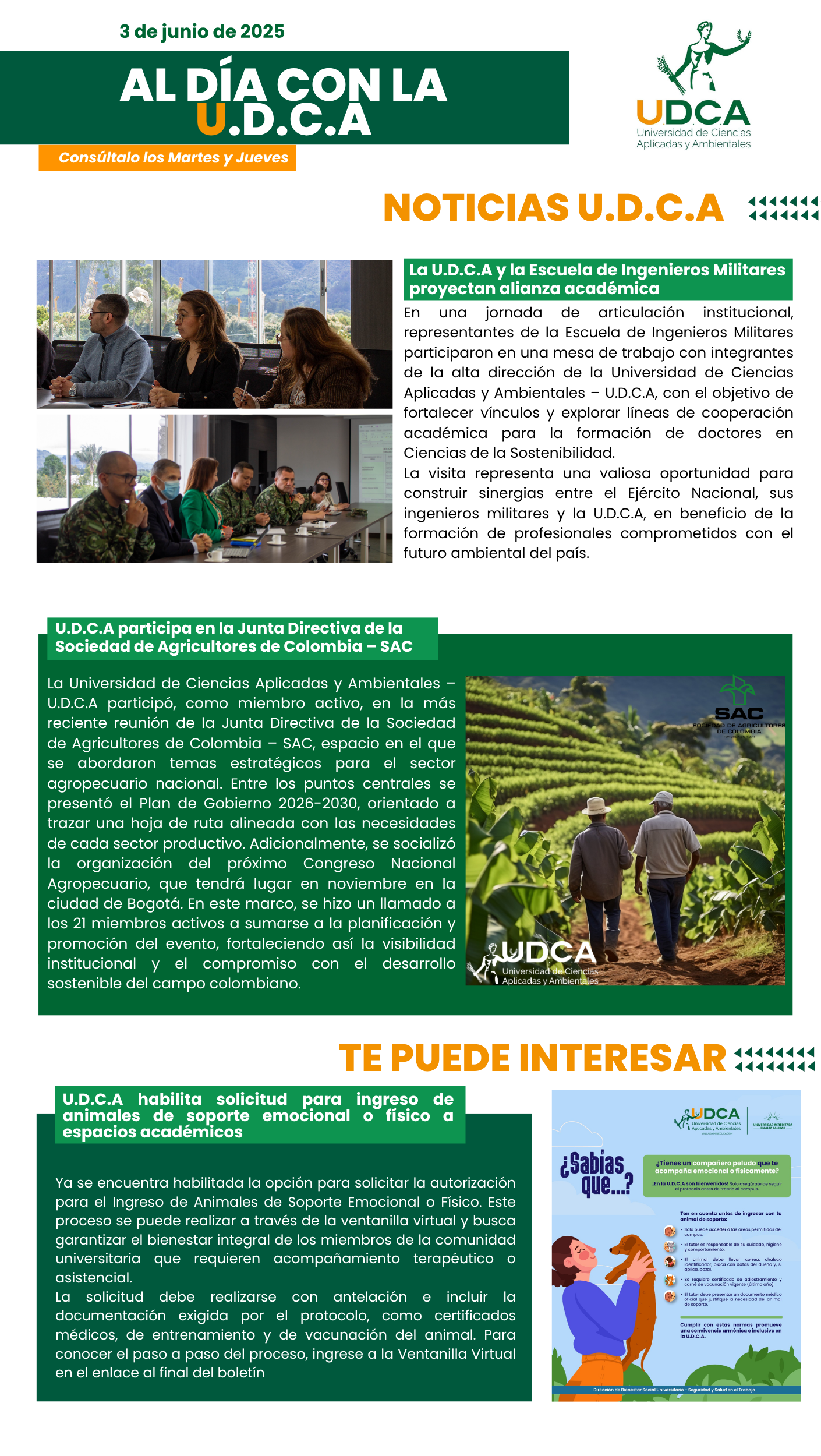 thumbnail_27 de mayo (1410 x 2500 px) (2)