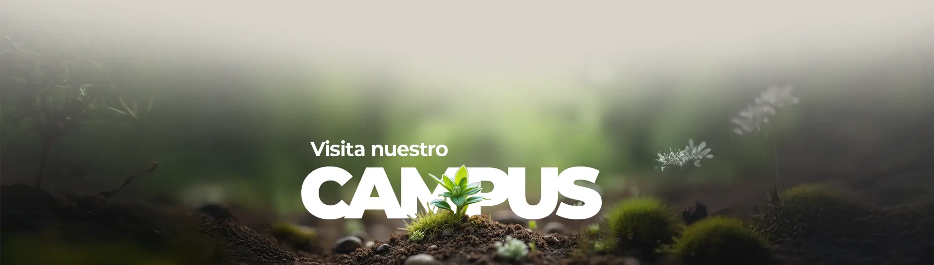 pie_pagina_parte_1 pie_pagina_parte_1