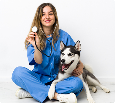 Estudia pregrado en Medicina Veterinaria
