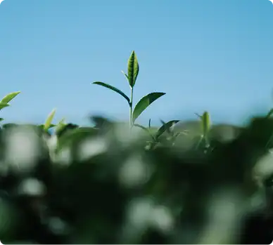 ciencia-sostenibilidad-3