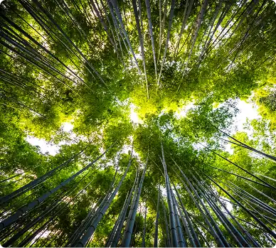 ciencia-sostenibilidad-4