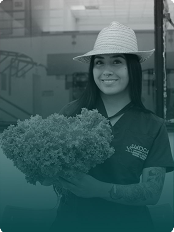 Estudia Ingeniería Agrónoma