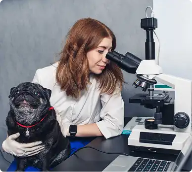 laboratorio-clinico-vet-4