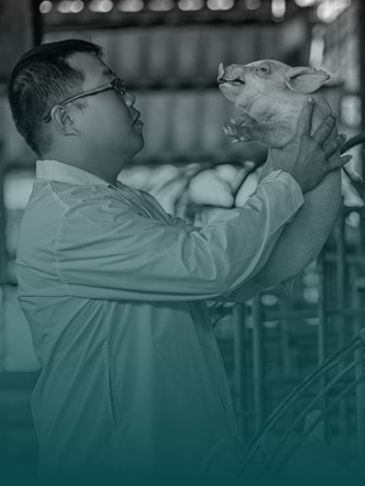 porque-estudiar-produccion-animal