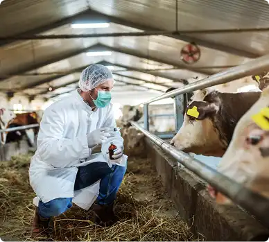 veterinaria-zootecnia-1