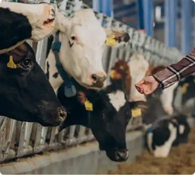 veterinaria-zootecnia-3