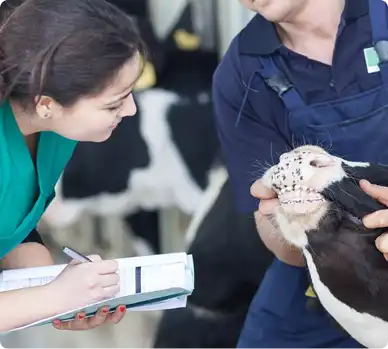 veterinaria-zootecnia-4