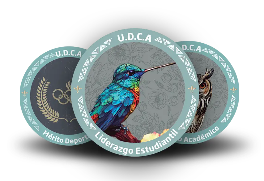 insignia insignia