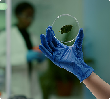 Investigación y sostenibilidad Investigación y sostenibilidad