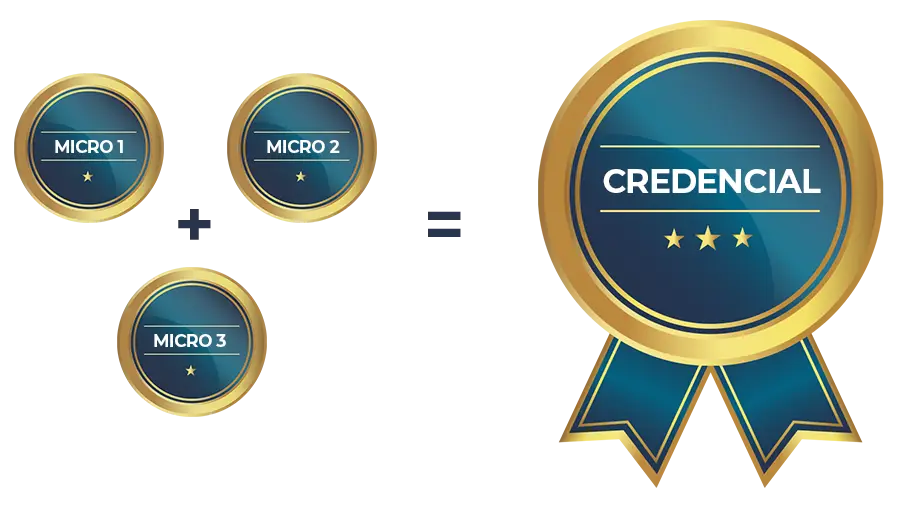 infografia_3 infografia_3
