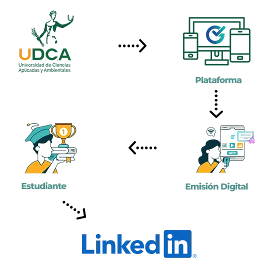 infografia_4 infografia_4