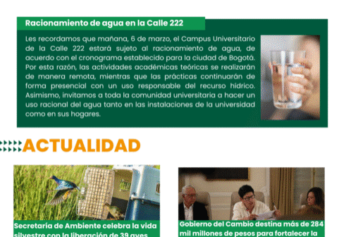 Boletín U.D.C.A 5 de marzo