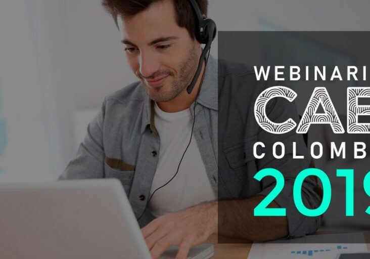 CAEI_WEBINAR