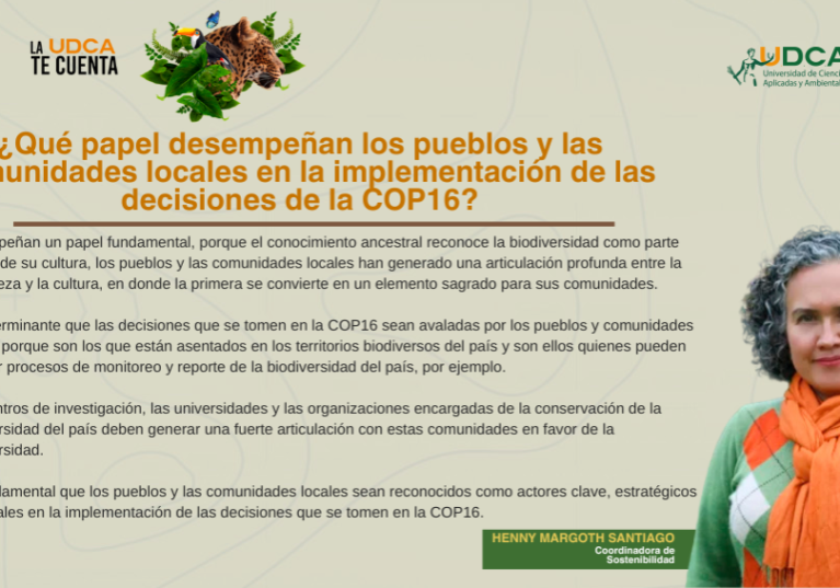 NUESTROS EXPERTOS OPINAN-Henny Santiago (1) NUESTROS EXPERTOS OPINAN-Henny Santiago (1)