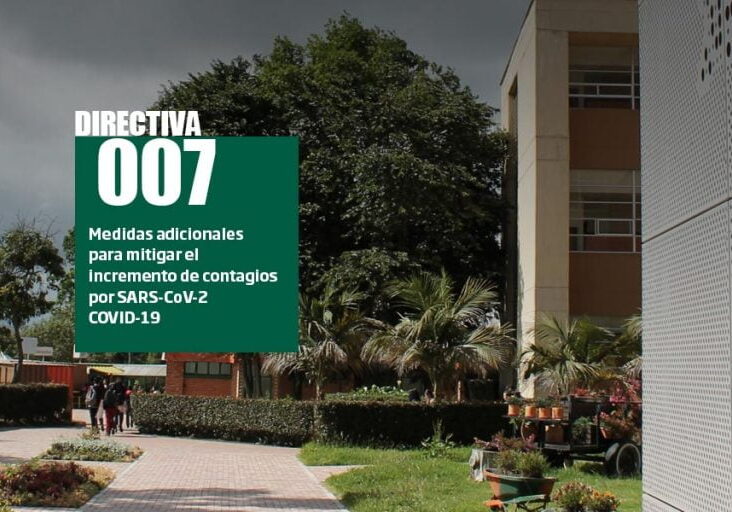 directiva_007