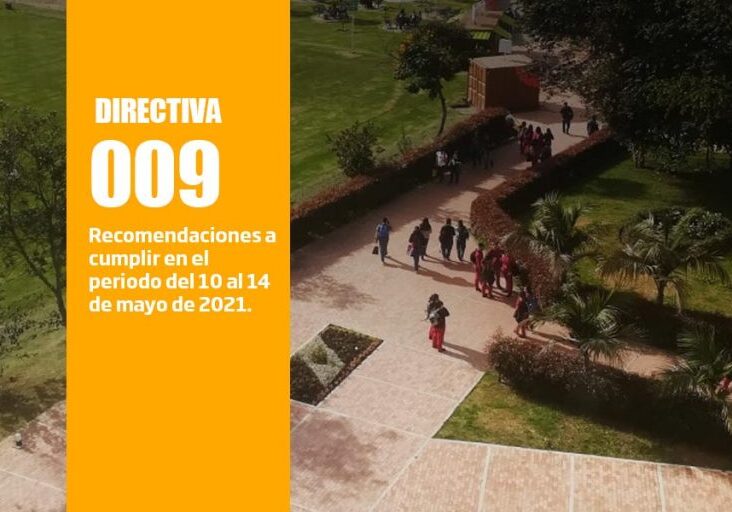 directiva_009