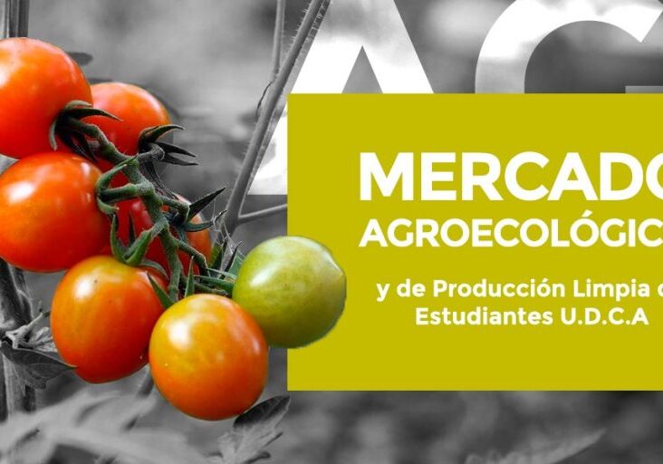 mercado_agroecologico