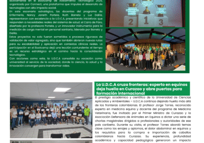 thumbnail_24 de junio (1410 x 3000 px) (4)