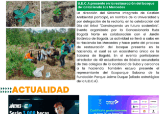 thumbnail_Boletín-U.D.C